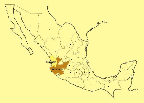 Raicilla en México